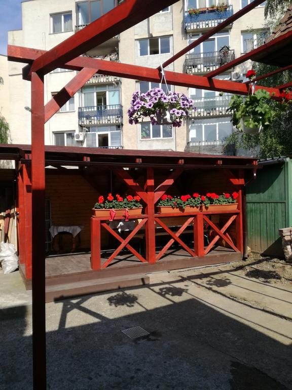 罗扎公寓民宿 布拉索夫 外观 照片